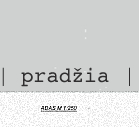 naujo tilto ideja